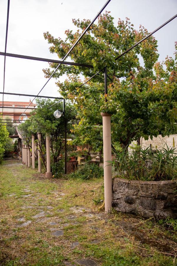 Suite Gli Ulivi Colonna Екстериор снимка